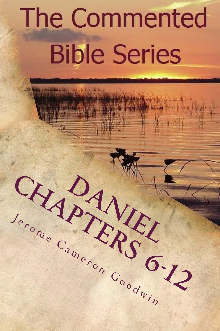 Daniel Chapters 6-12: Insight On Daniel's Prophecies (The Commented Bible Series, Band 27) Religion & Esotericism