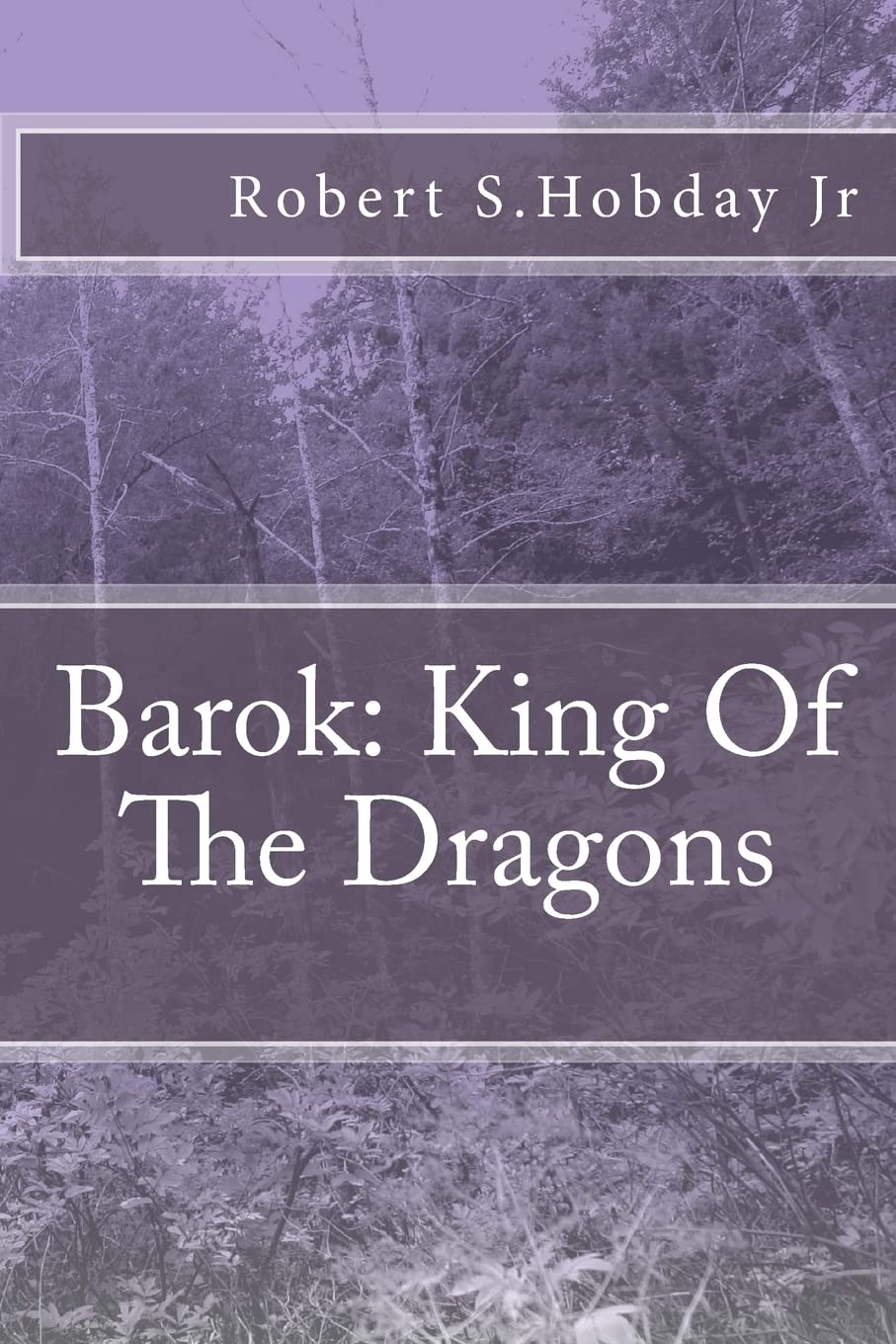 Barok King Of The Dragons Books