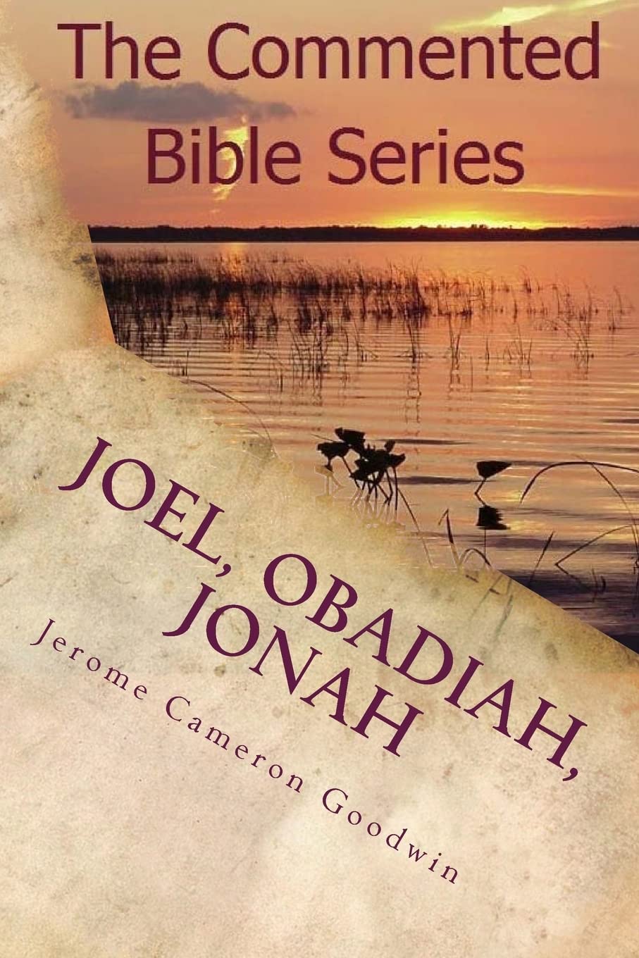 Joel, Obadiah, Jonah: It Is Written In The Prophets (The Commented Bible Series, Band 29) Religion & Esotericism