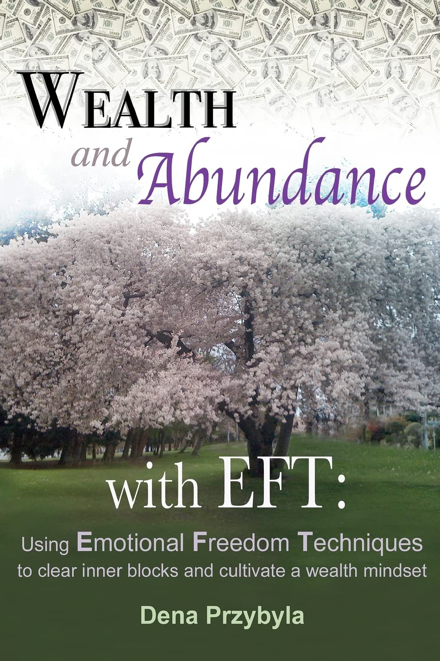 Wealth and Abundance With Eft Emotional Freedom Techniques: Using Emotional Freedom Techniques to Clear Inner Blocks and Cultivate a Wealth Mindset Lifestyle
