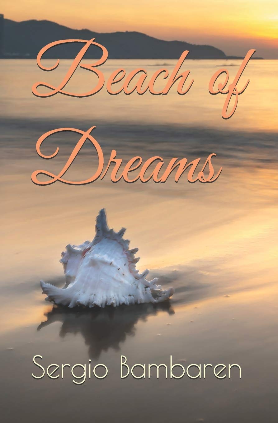 Beach of Dreams Contemporary literature