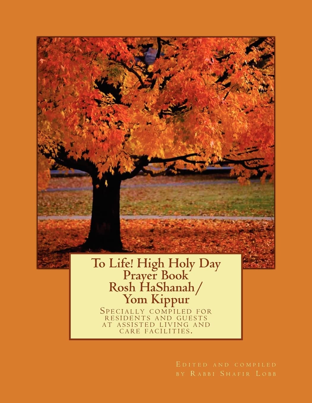 To Life! High Holy Day Prayer Book - Rosh HaShanah/Yom Kippur Religion & Esotericism