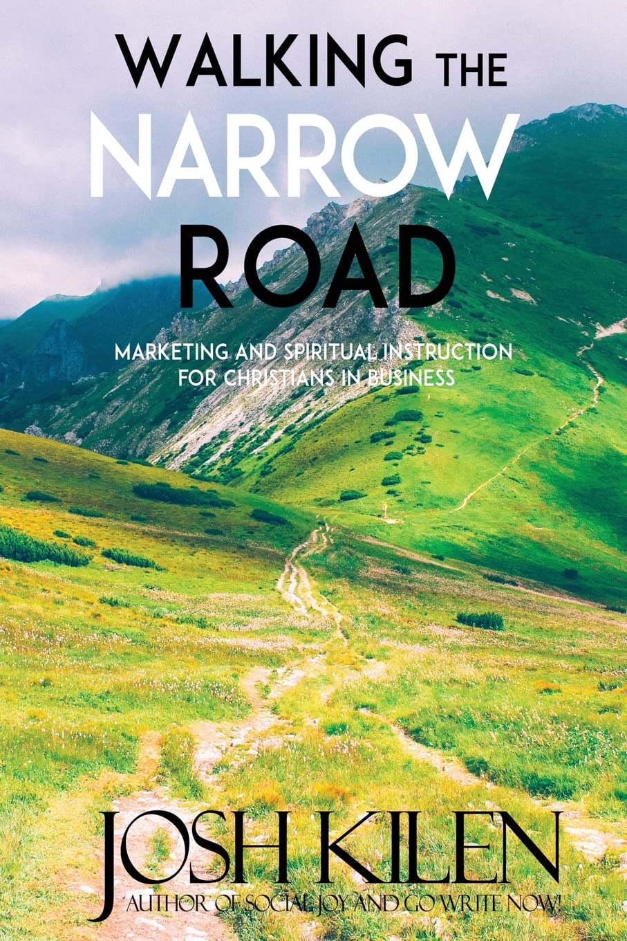 Walking the Narrow Road: Marketing and Spiritual Instruction for Christians in Business book