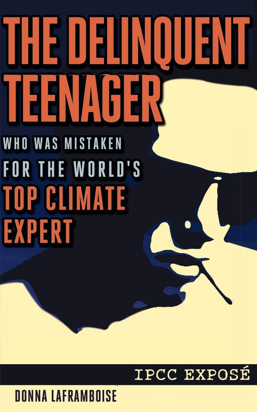 The Delinquent Teenager Who Was Mistaken for the World's Top Climate Expert Mathematics