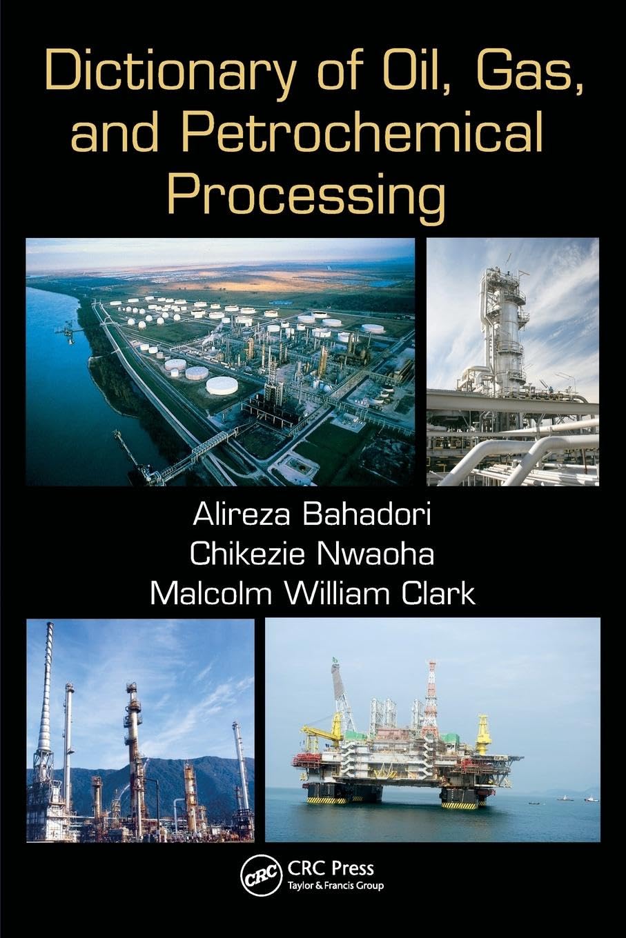 Dictionary of Oil, Gas, and Petrochemical Processing Business, Finance & Career