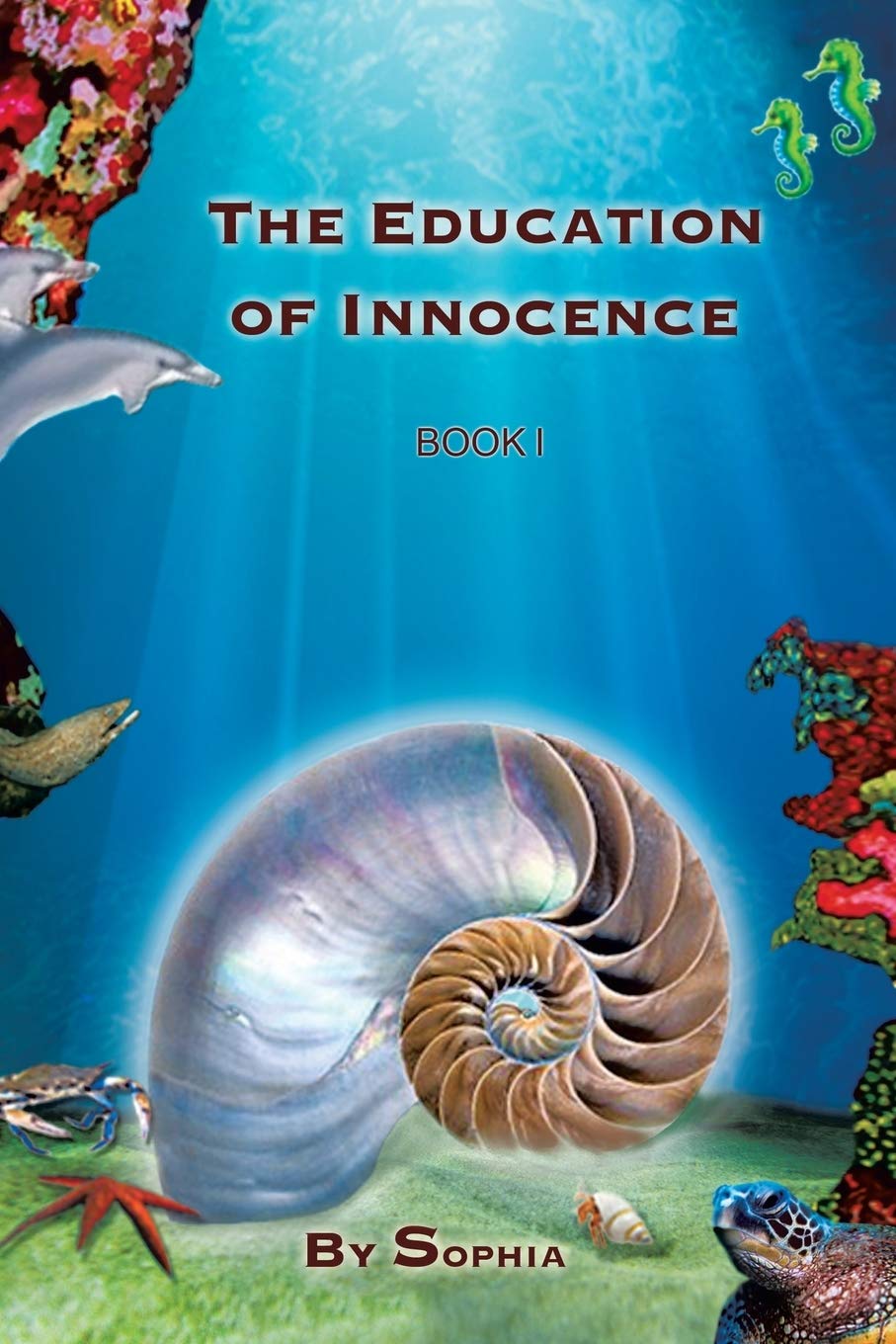 The Education of Innocence book