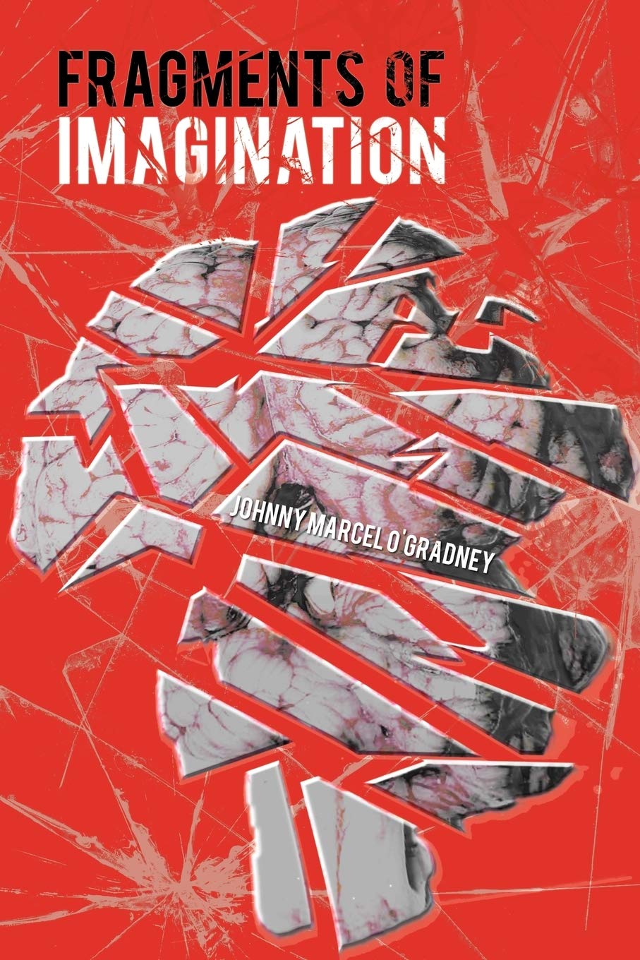 Fragments Of Imagination Poetry