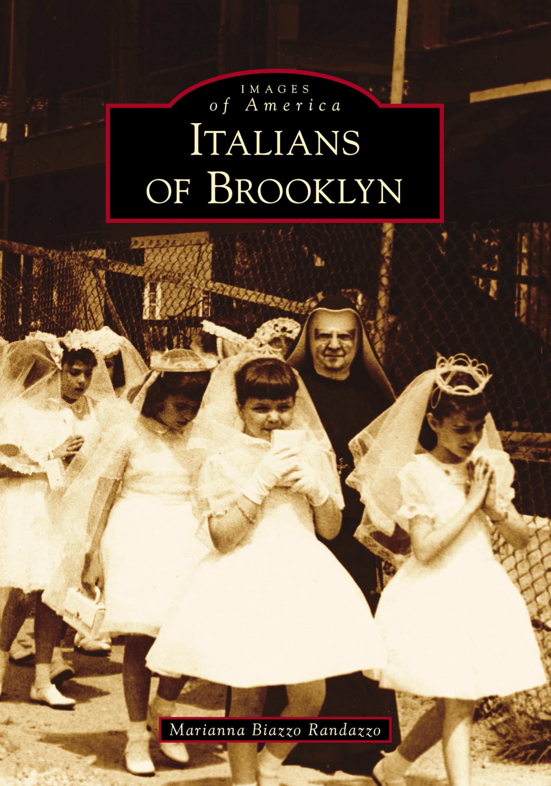 Italians of Brooklyn book