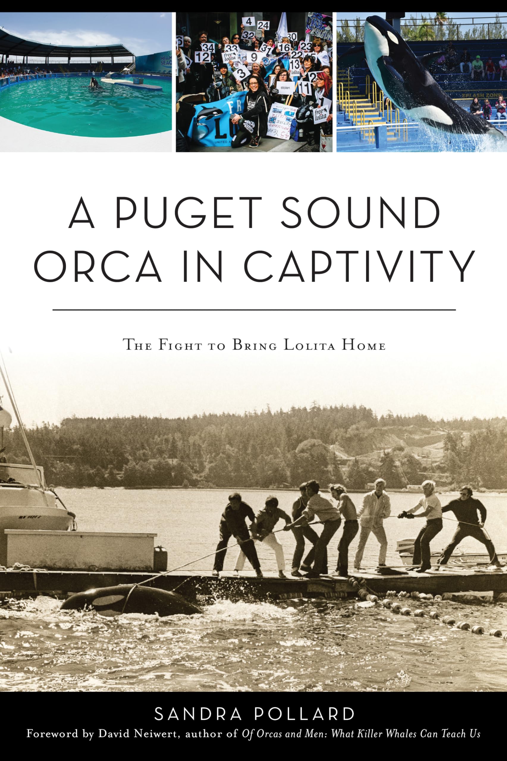 A Puget Sound Orca in Captivity: The Fight to Bring Lolita Home Books