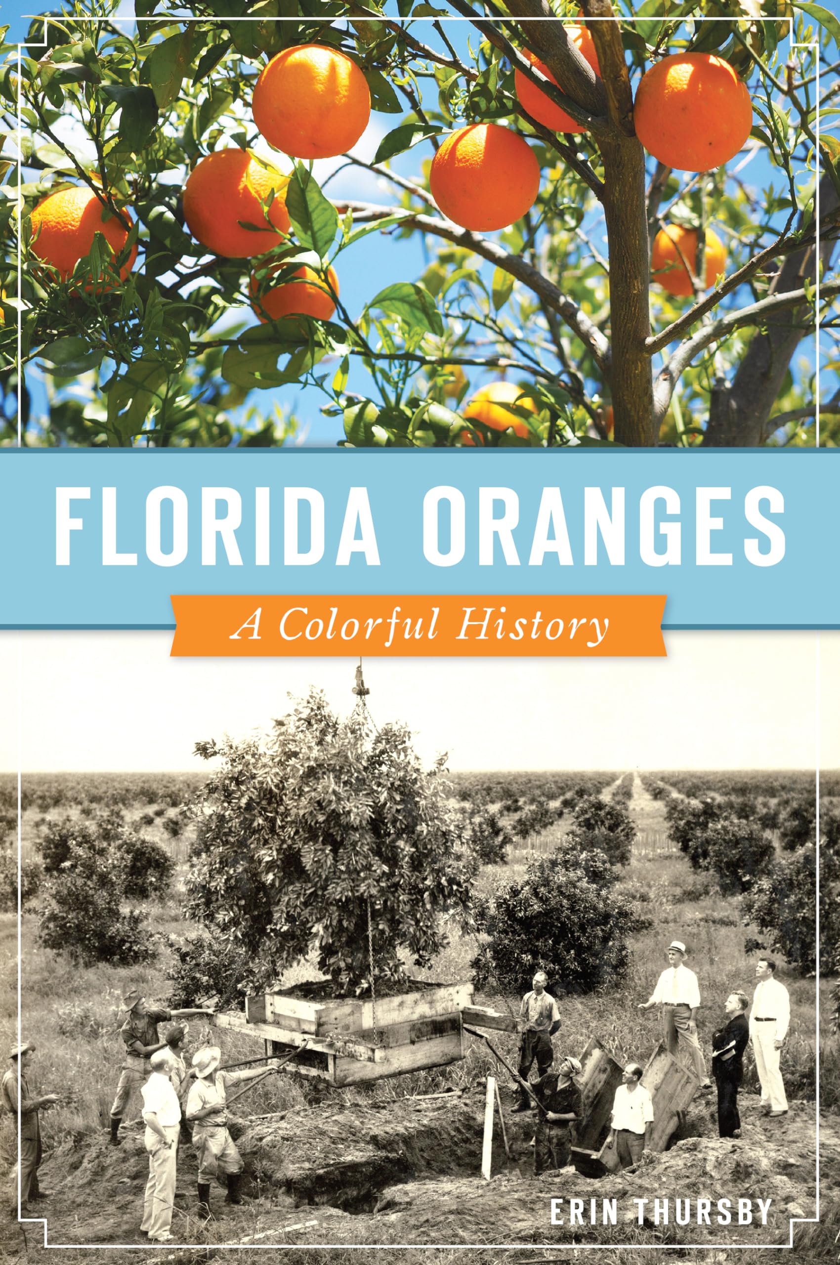Florida Oranges: A Colorful History (American Palate) Business, Finance & Career