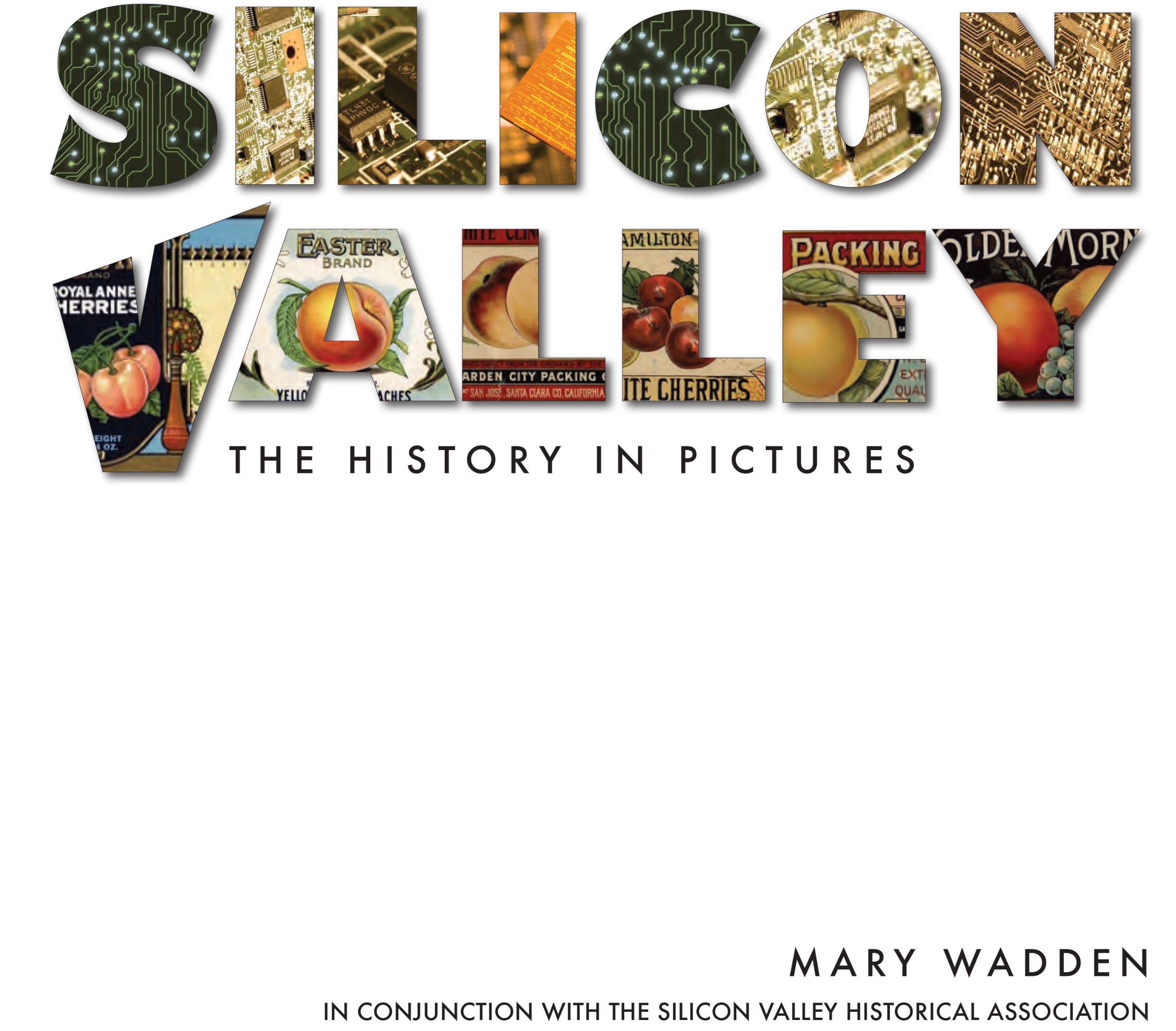 Silicon Valley: The History in Pictures Books
