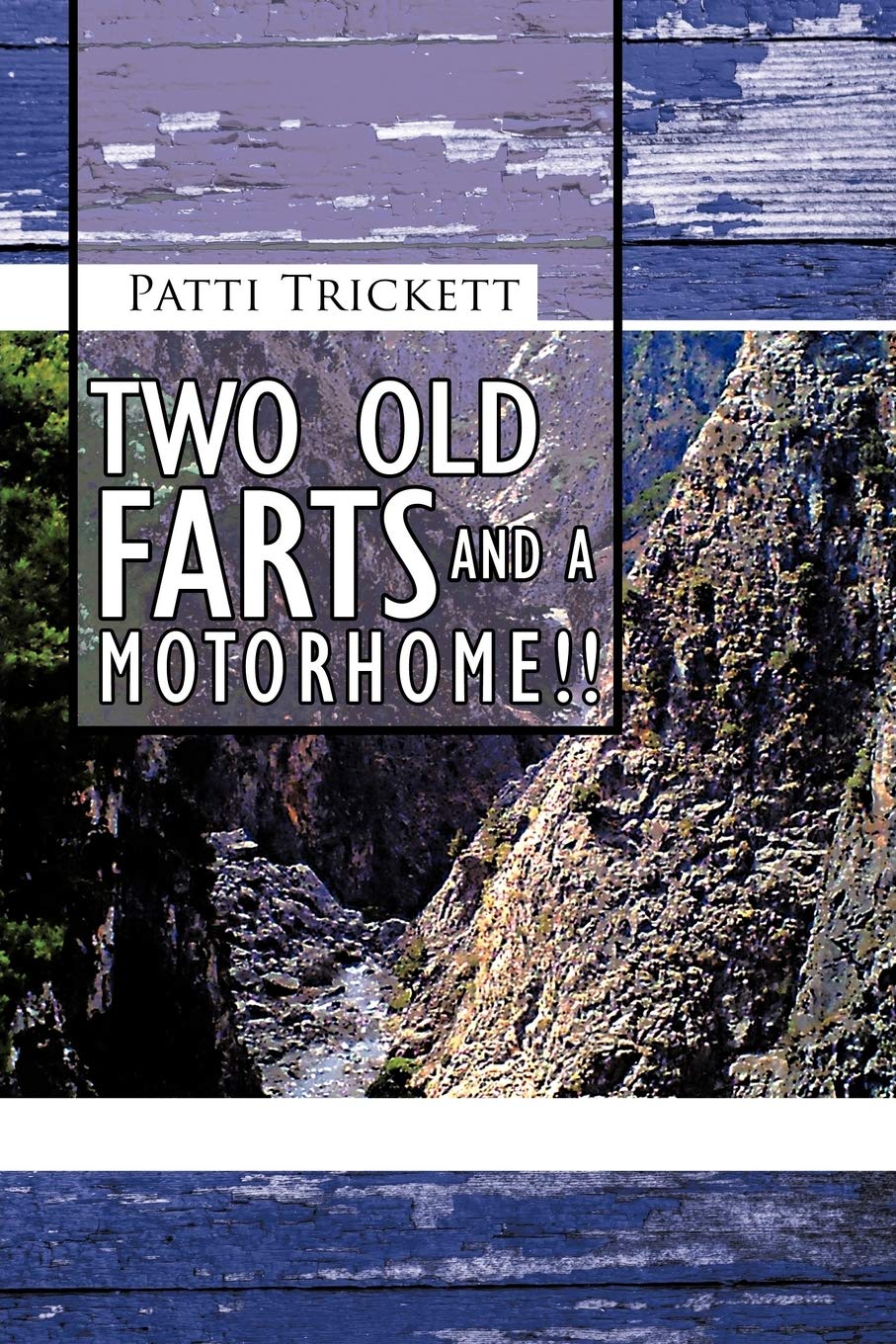 Two Old Farts and A Motorhome! Contemporary literature