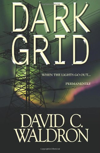 Dark Grid: When The Lights Go Out...Permanently. (The Dark Grid Series, Band 1) Action & Adventure
