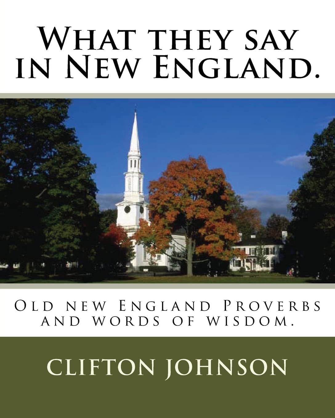 What they say in New England.: Old new England Proverbs and words of wisdom. Politics & History