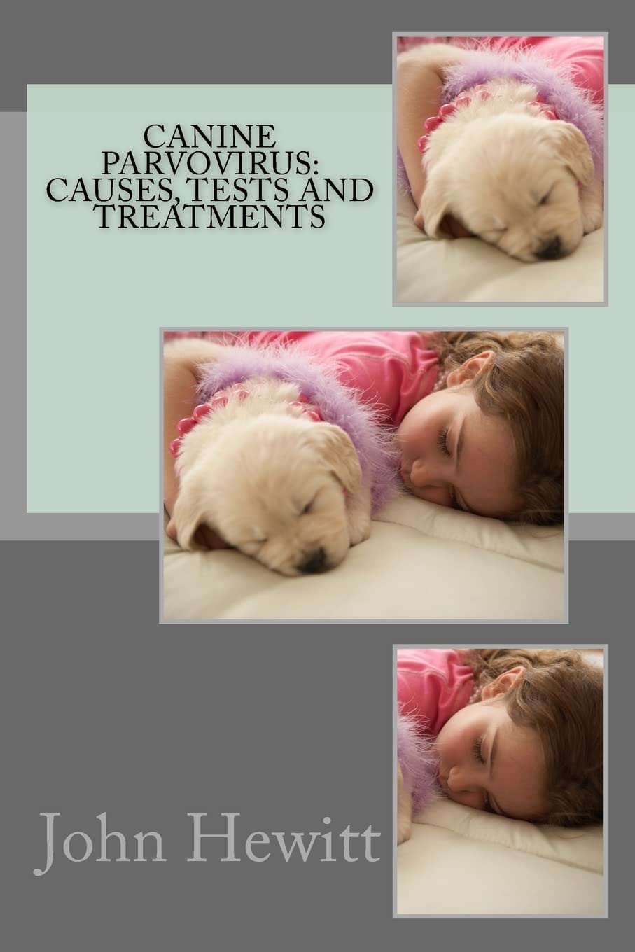 Canine Parvovirus: Causes, Tests and Treatments Pets
