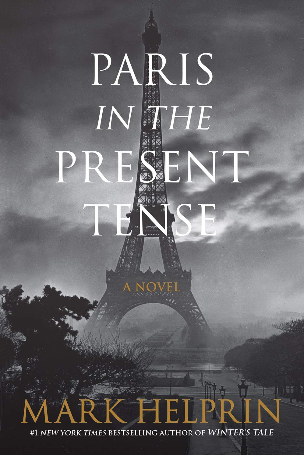 Paris in the Present Tense Contemporary literature Books