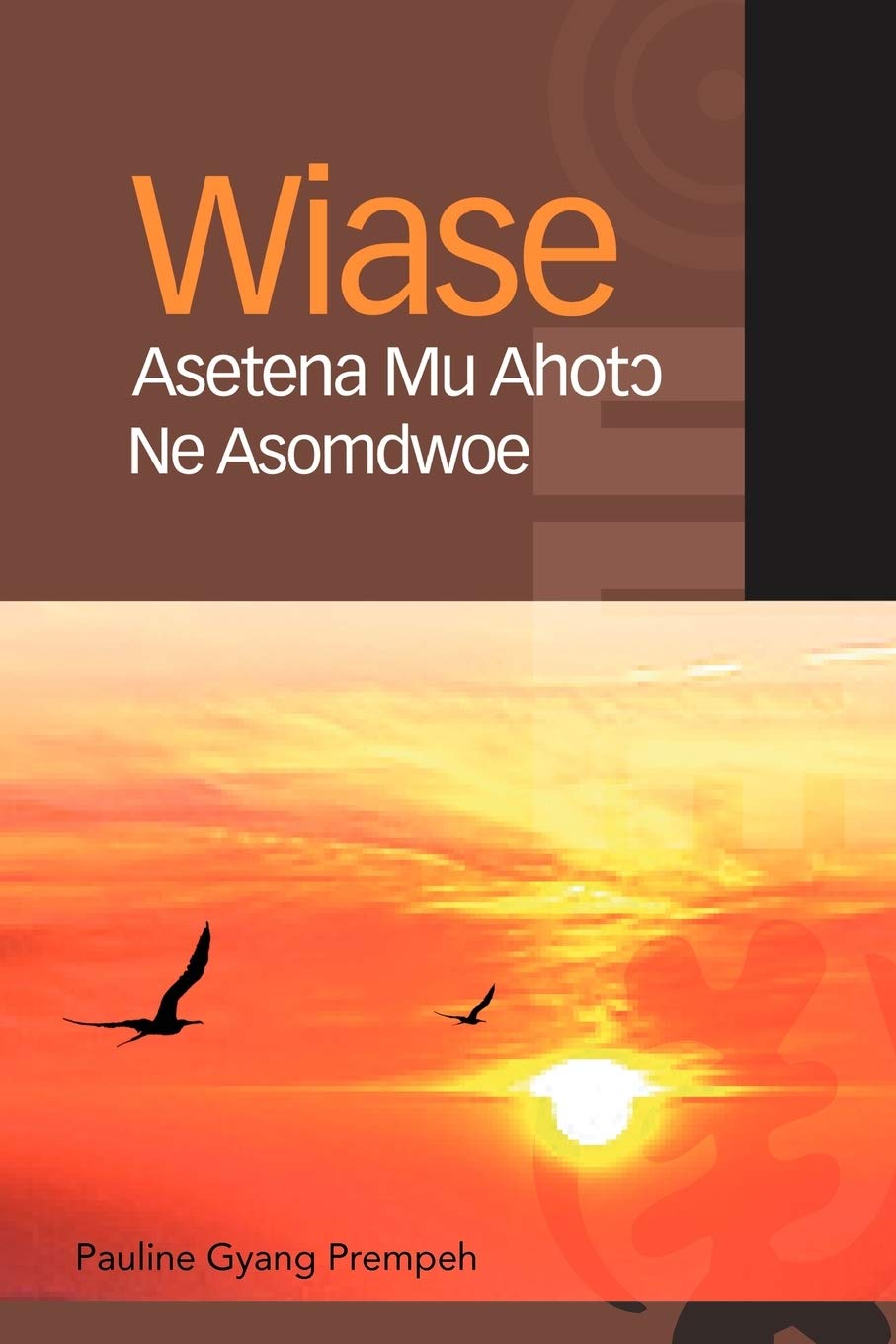 Wiase Asetena Mu Ahotɔ Ne Asomdwoe Business, Finance & Career