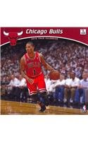 Chicago Bulls 2013 Team Calendar Leisure & Fun