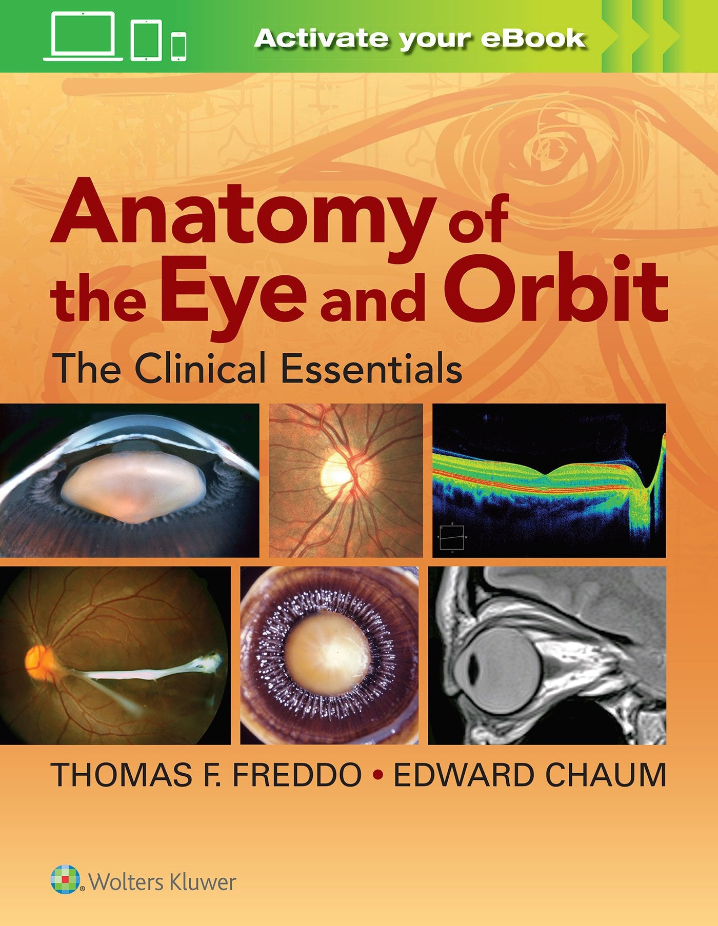 Anatomy of the Eye and Orbit, None: The Clinical Essentials Medicine