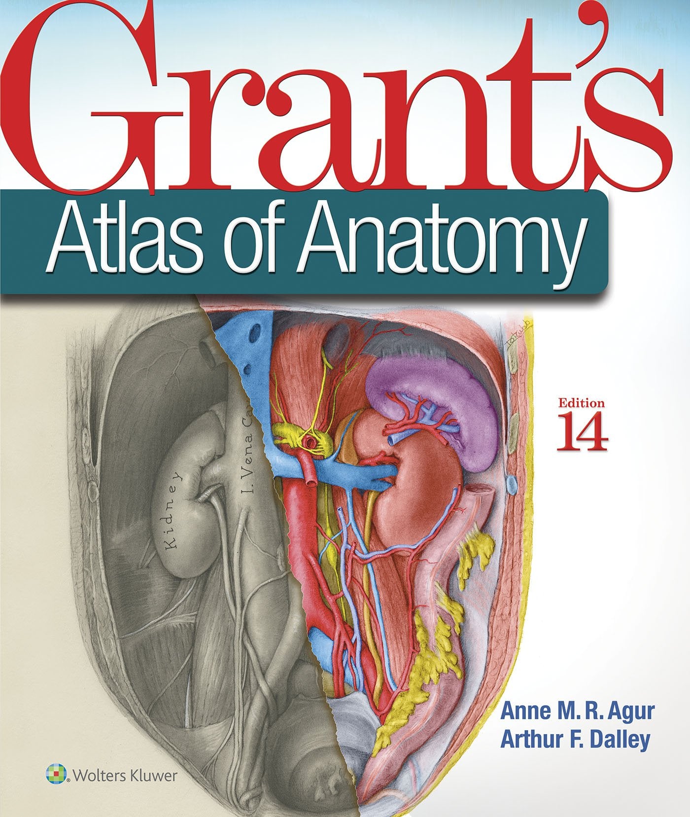 Grant's Atlas of Anatomy Medicine