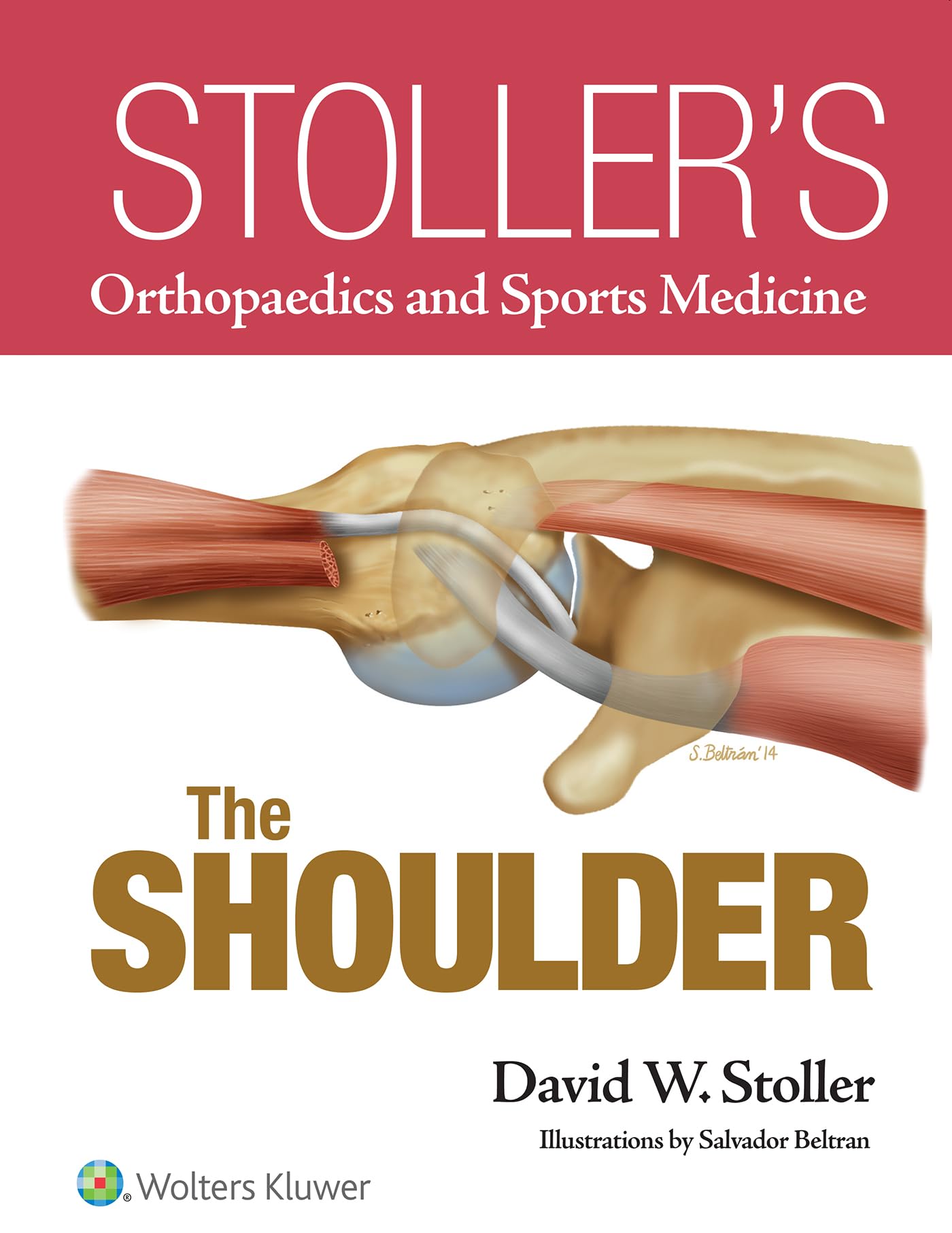 The Shoulder (Stoller's Orthopaedics and Sports Medicine) Medicine