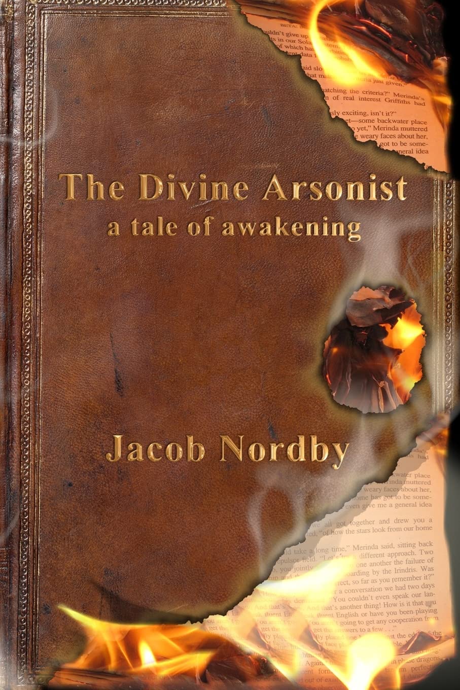 The Divine Arsonist: A Tale of Awakening Contemporary literature