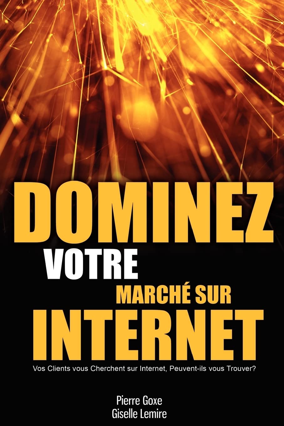 Dominez votre marché sur internet : Vos clients vous cherchent sur internet, peuvent-ils vous trouver? book