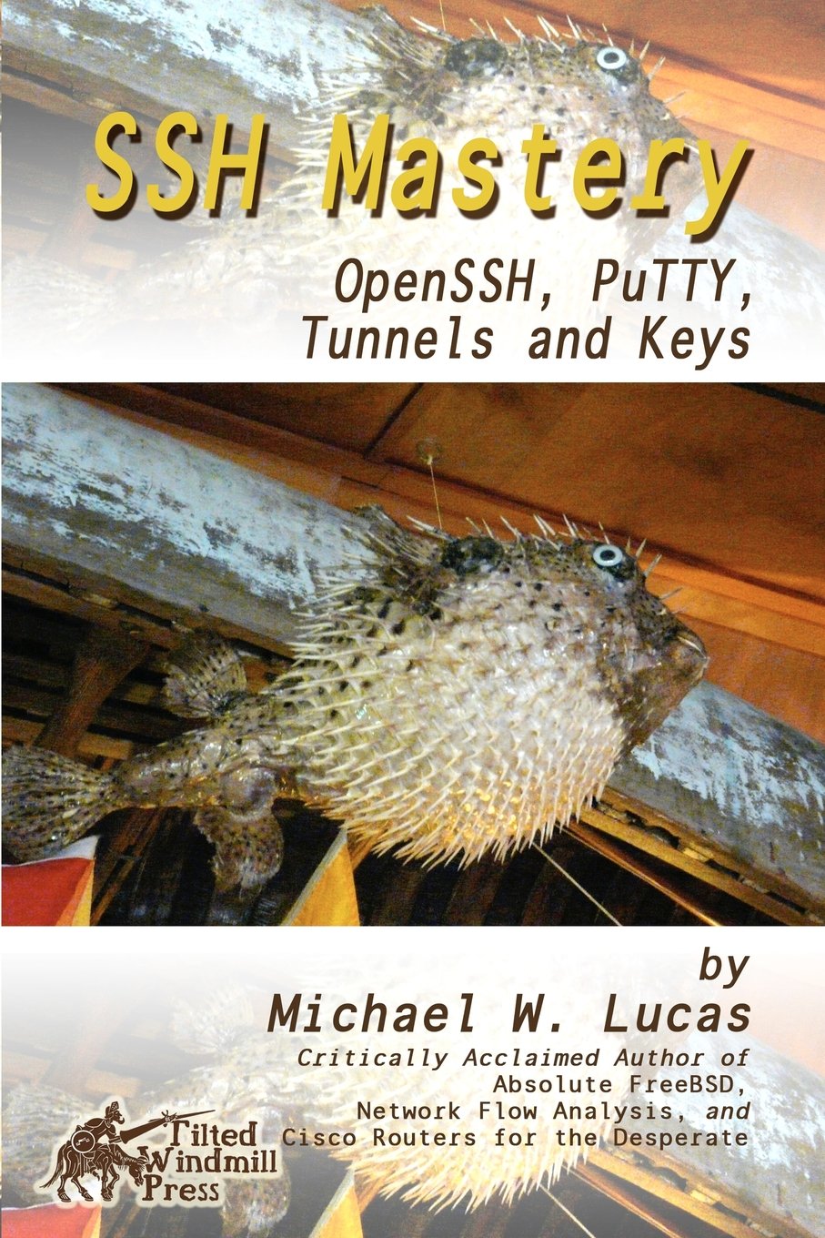 Product Image: SSH Mastery: OpenSSH, PuTTY, Tunnels and Keys