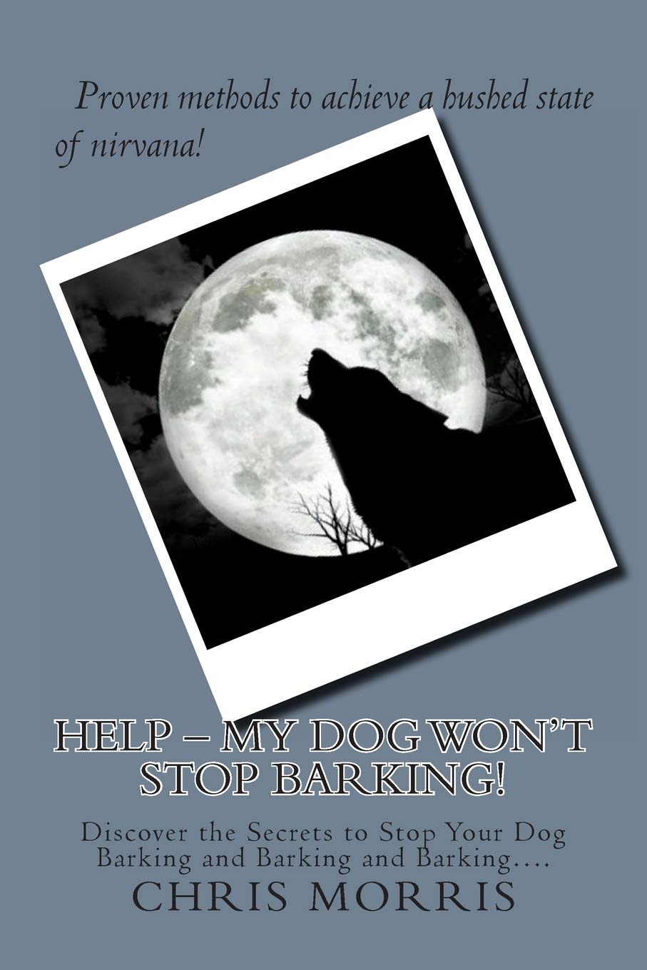HELP – My Dog Won’t Stop Barking!: Discover the Secrets to Stop Your Dog Barking and Barking and Barking…. Pets