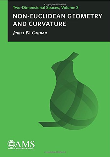 Non-Euclidean Geometry and Curvature: Two-Dimensional Spaces, Volume 3 (Two-dimensional Spaces, 3, Band 3) Mathematics