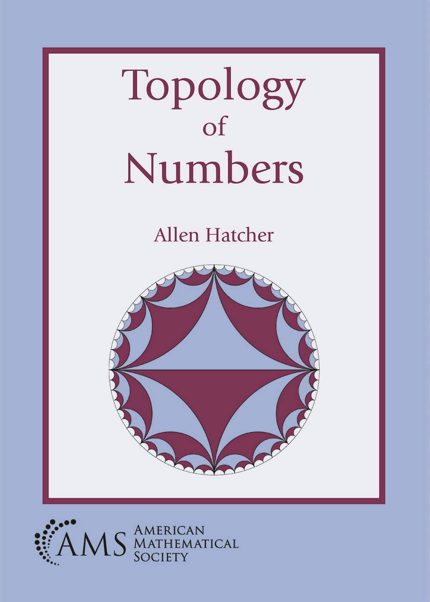 Topology of Numbers (Miscellaneous Book Series) Mathematics