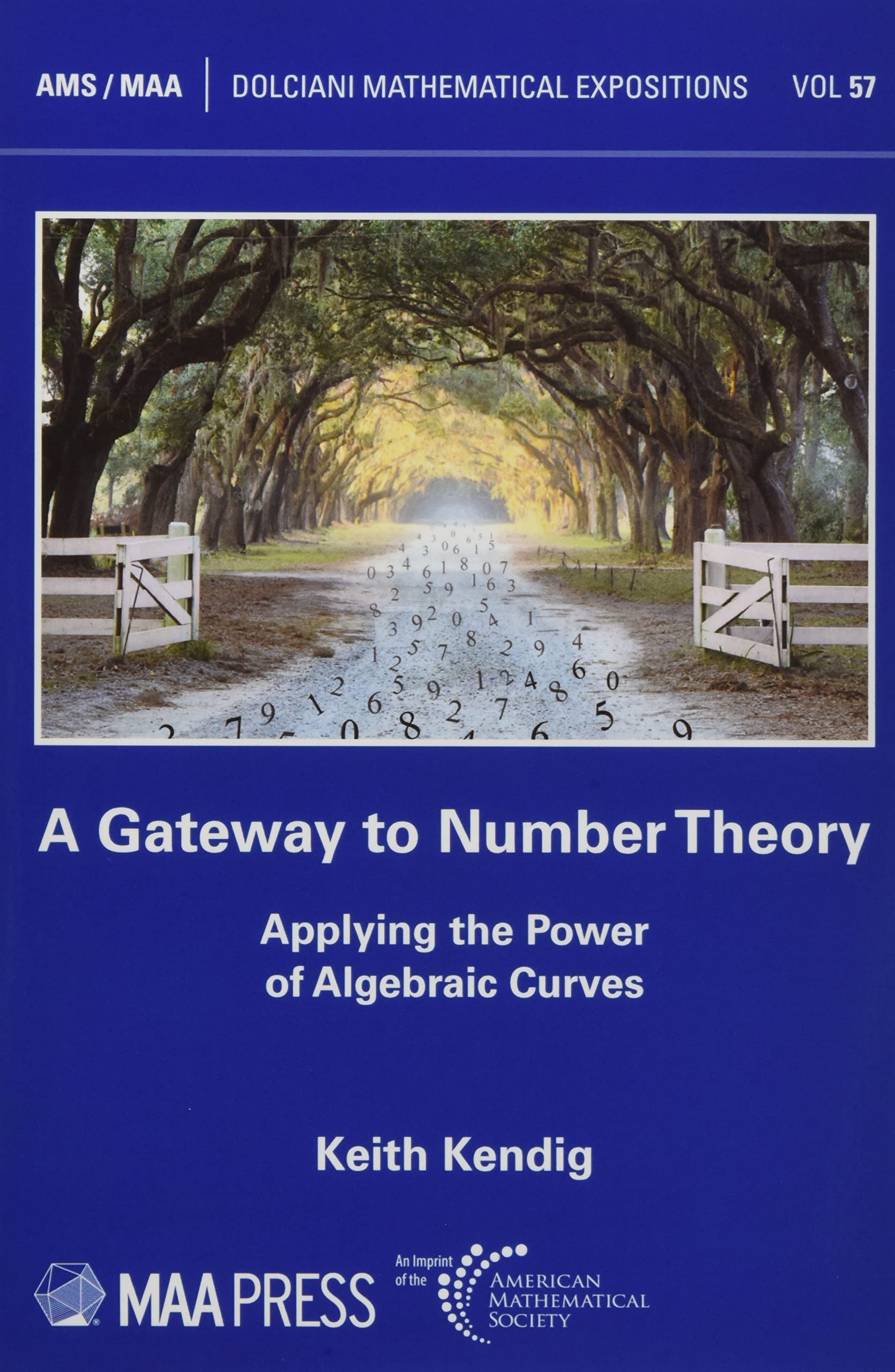 A Gateway to Number Theory: Applying the Power of Algebraic Curves (Dolciani Mathematical Expositions, 57) Mathematics