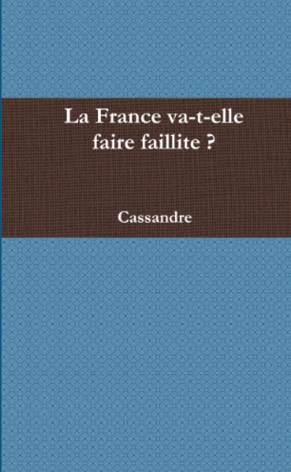 La France va-t-elle faire faillite ? book