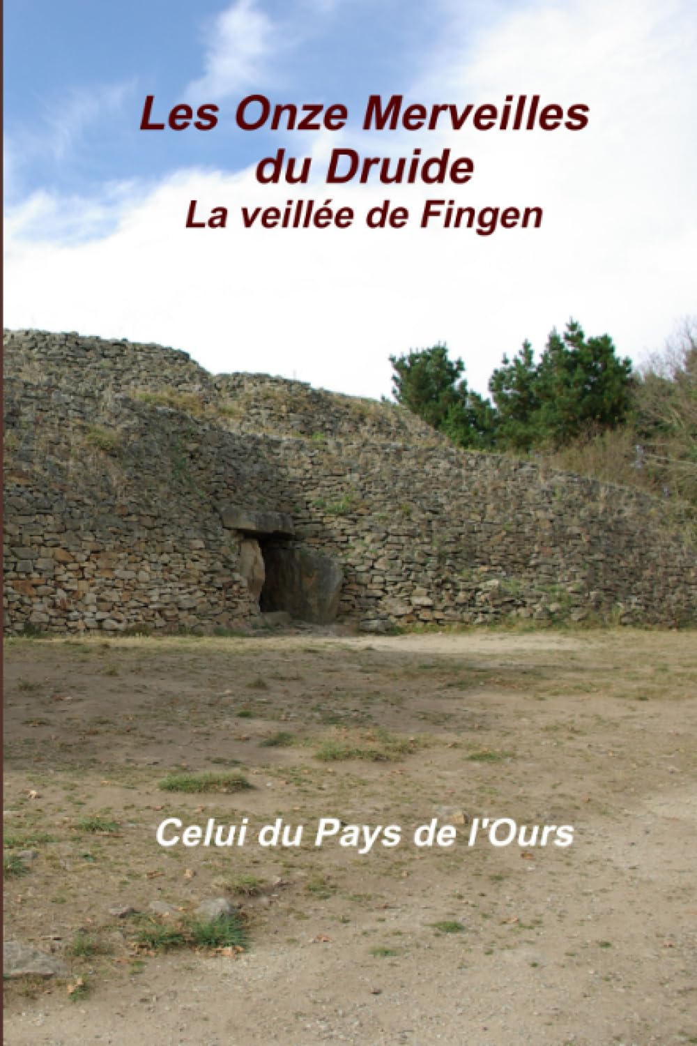 Les Onze Merveilles du Druide. La veillée de Fingen. book