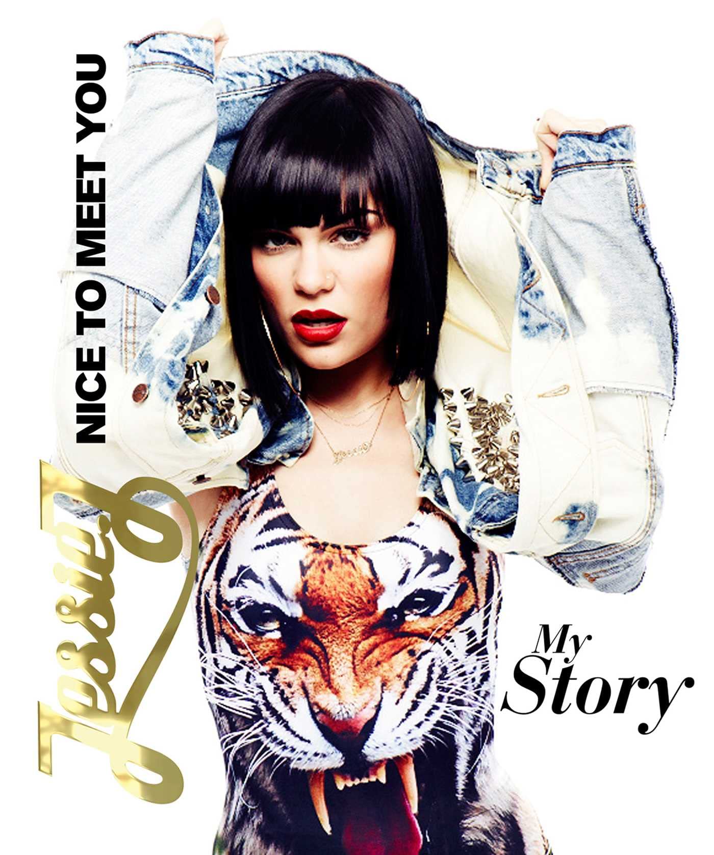 Nice to Meet You: My Story Pop culture