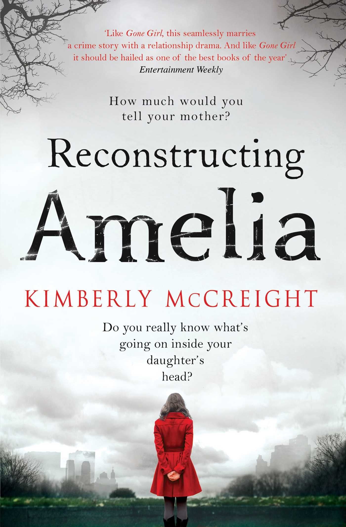Reconstructing Amelia Contemporary literature Books
