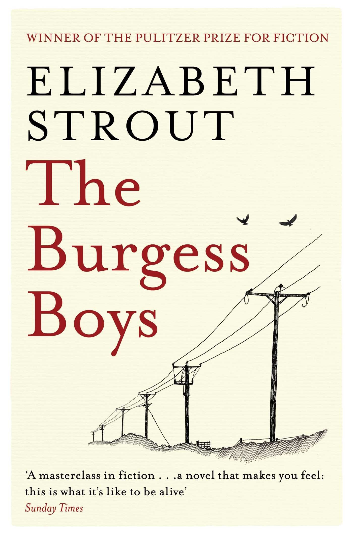 Product Image: The Burgess Boys