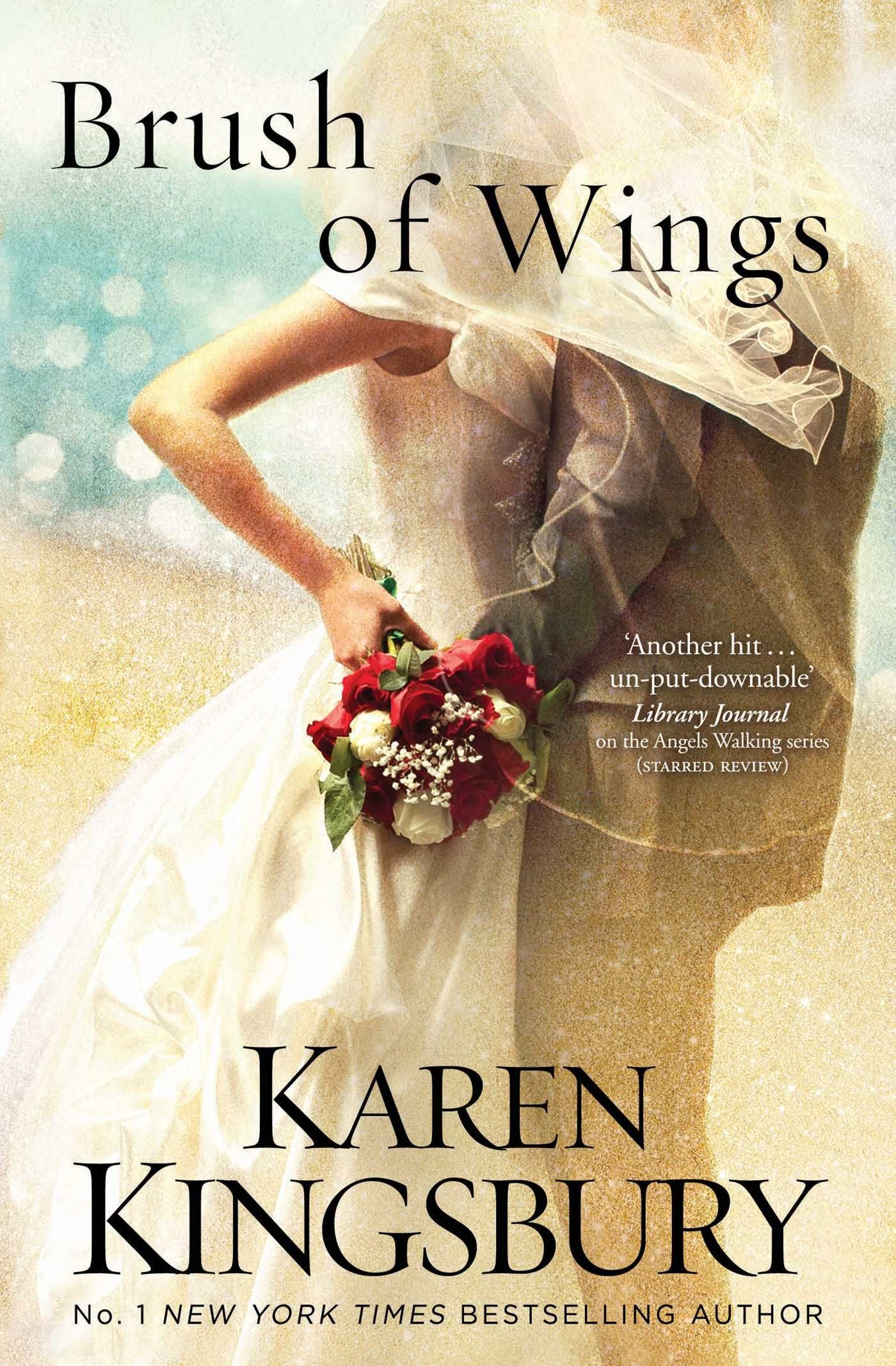 Brush of Wings book