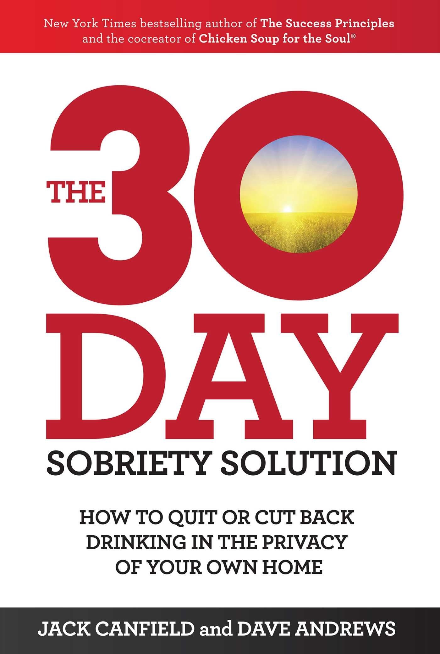 The 30-Day Sobriety Solution Politics & History