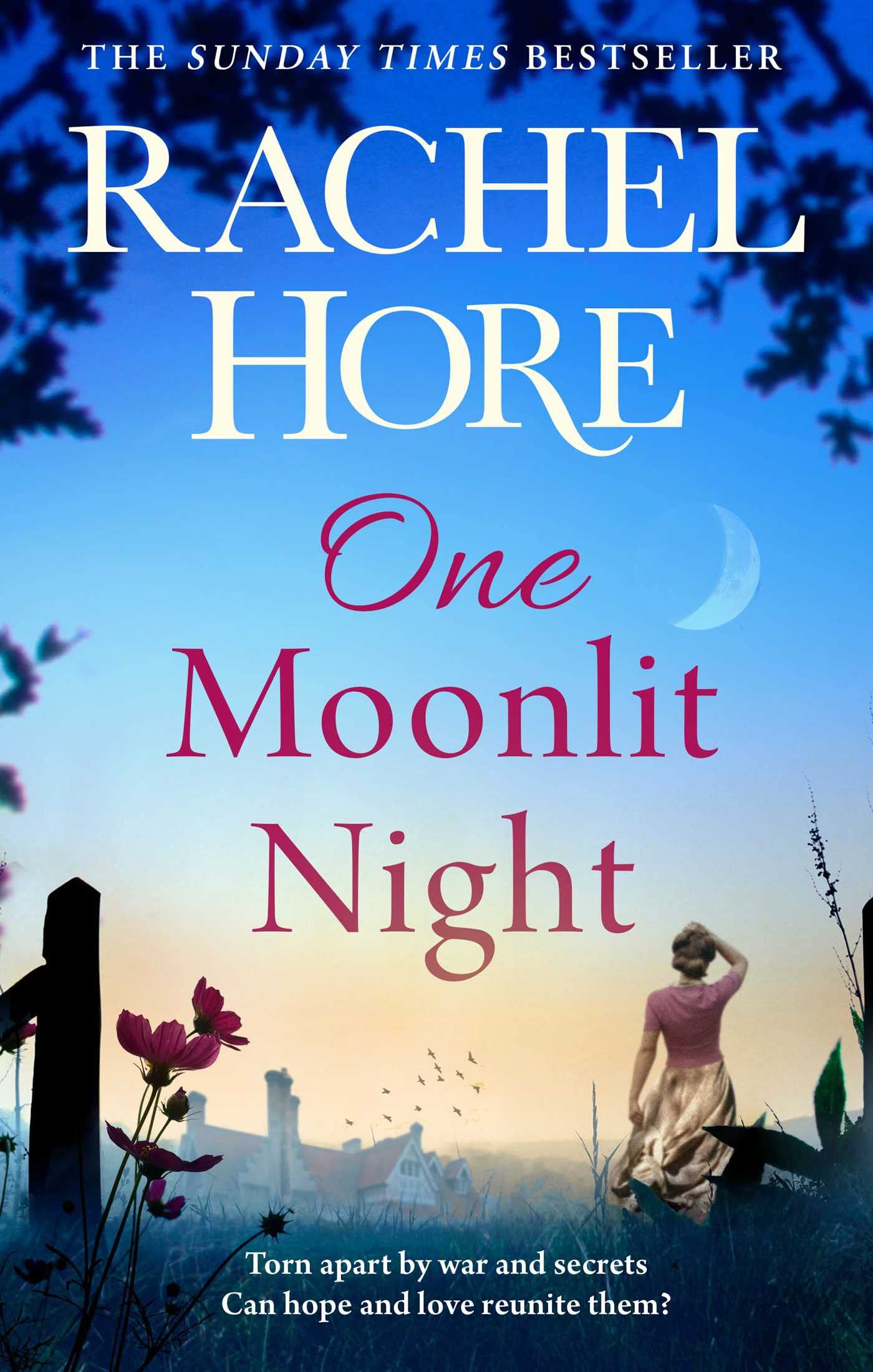One Moonlit Night: The unmissable novel from the million-copy Sunday Times bestselling author of A Beautiful Spy Contemporary literature