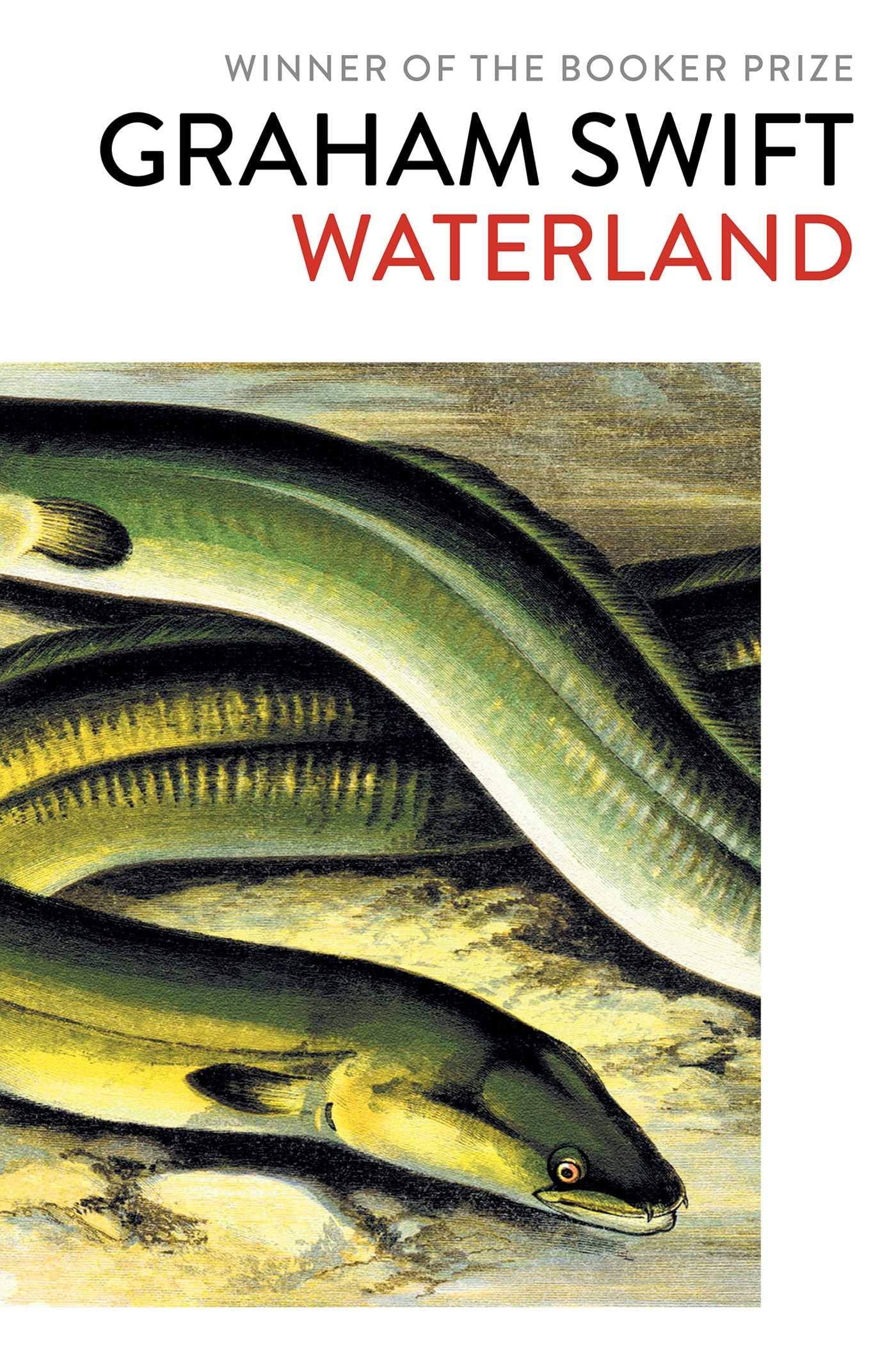 Waterland Contemporary literature Books