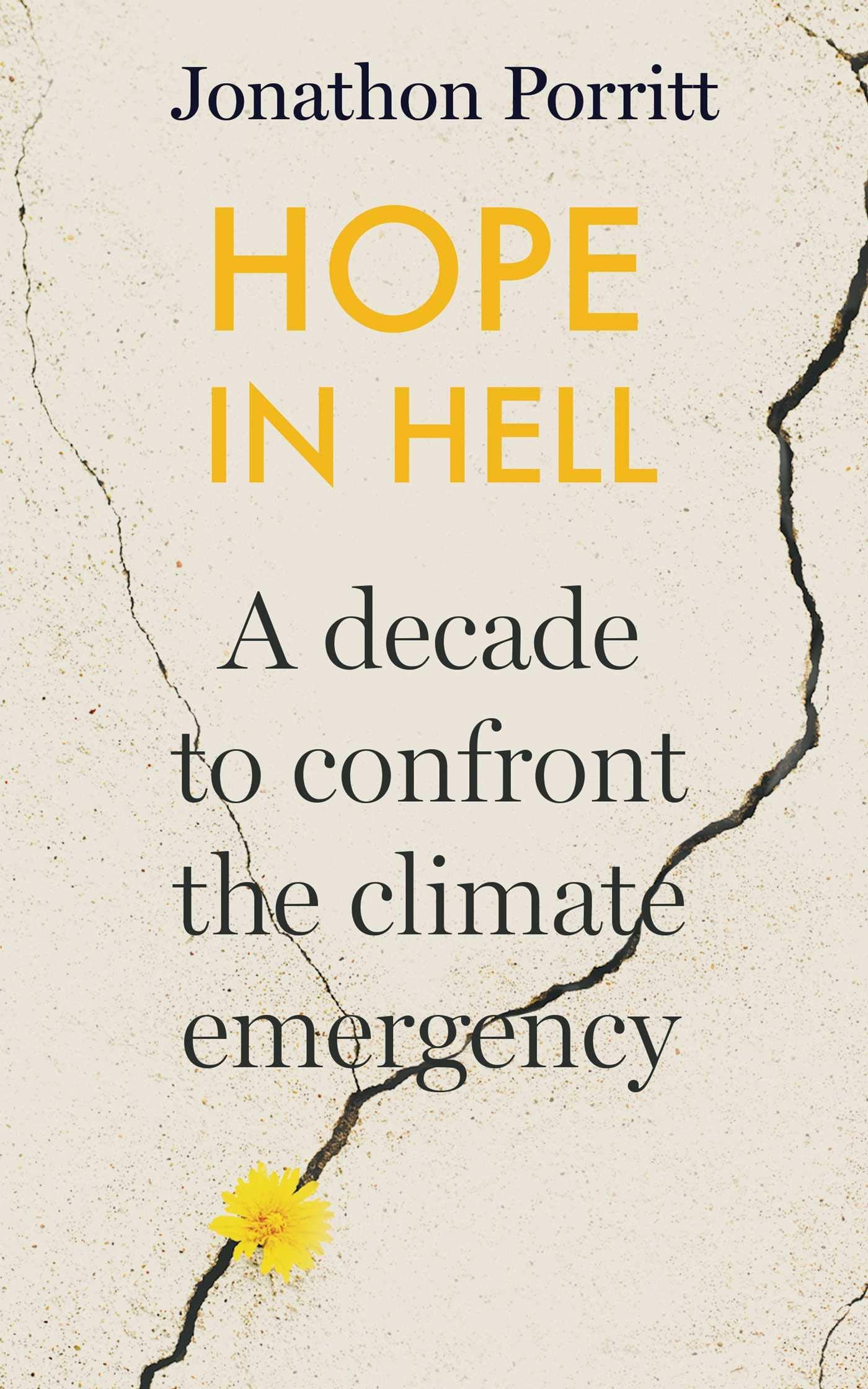 Hope in Hell: A decade to confront the climate emergency Mathematics