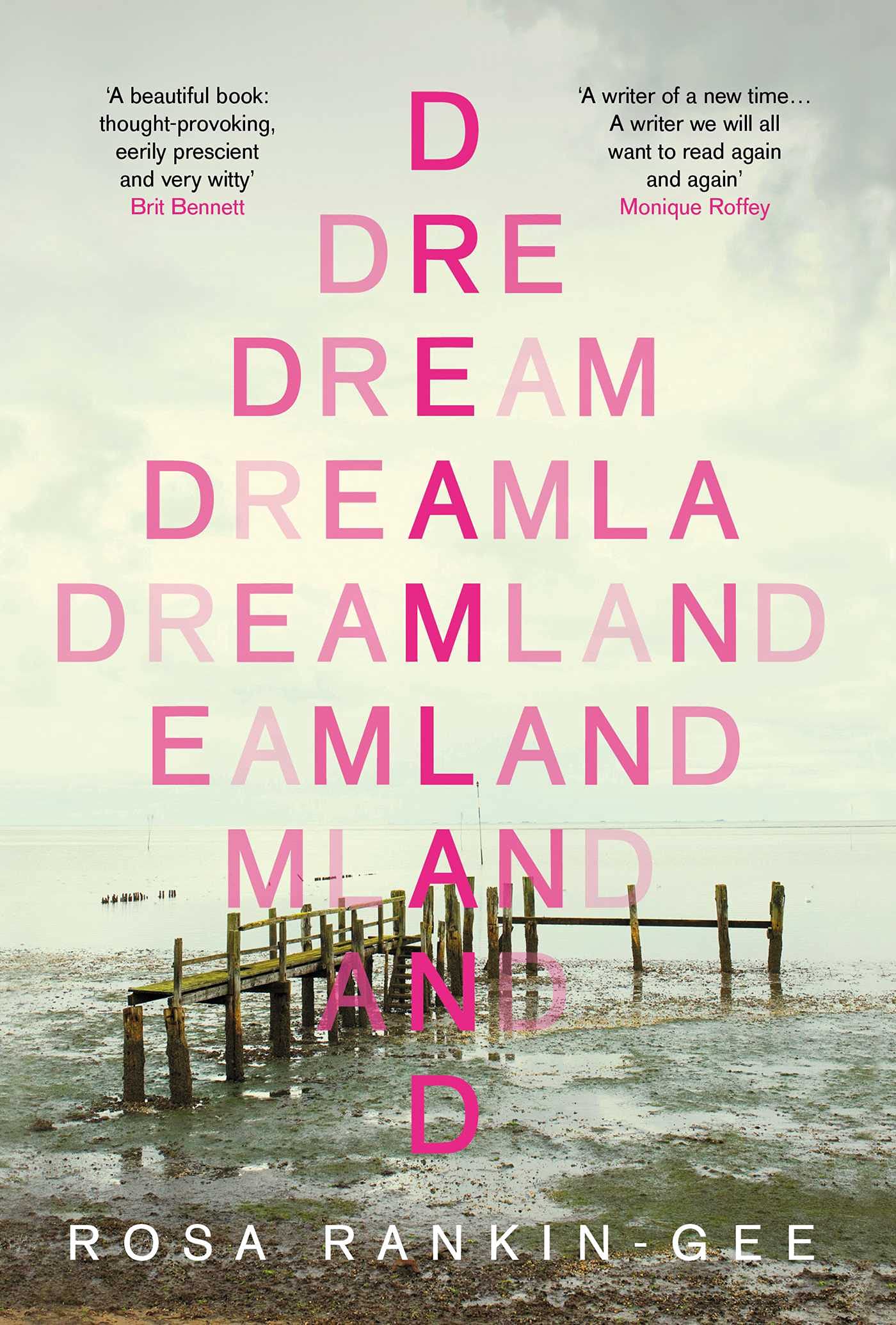 Dreamland: An Evening Standard 'Best New Book' of 2021 Contemporary literature