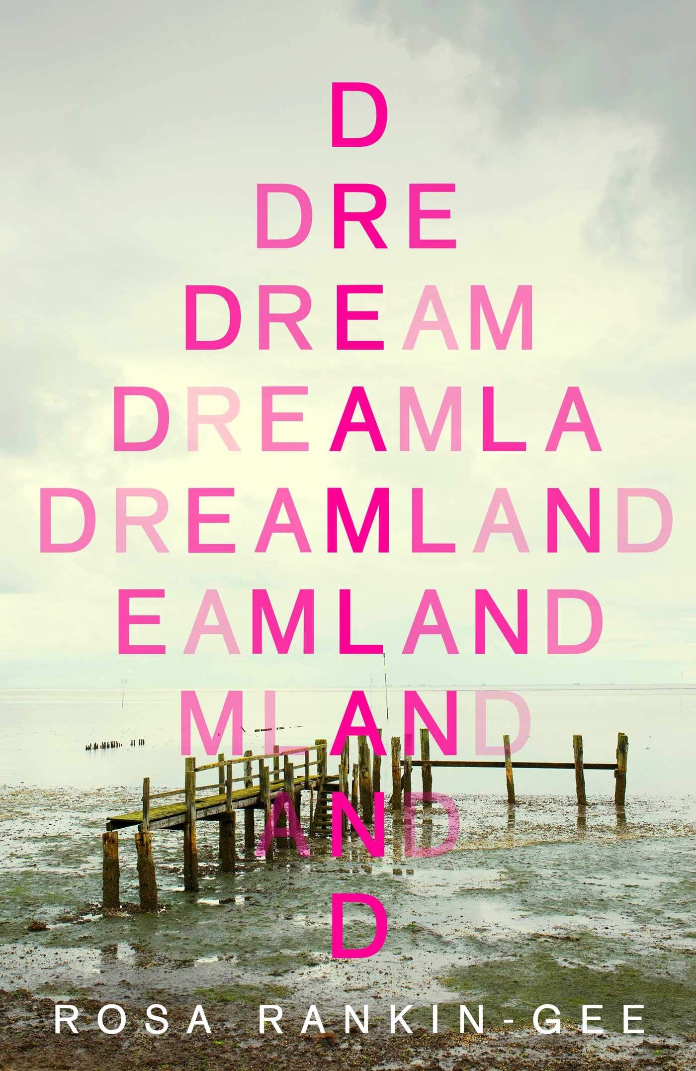 Dreamland: An Evening Standard 'Best New Book' of 2021 Contemporary literature