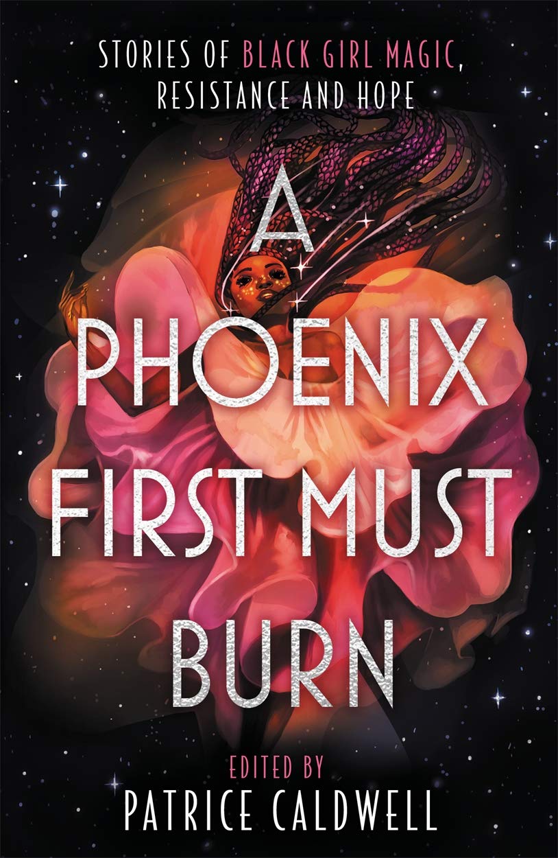 A Phoenix First Must Burn Contemporary literature Books