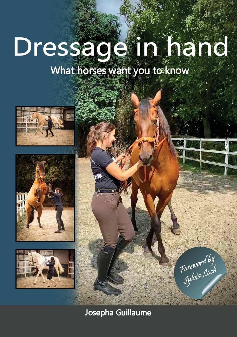 Dressage in hand book