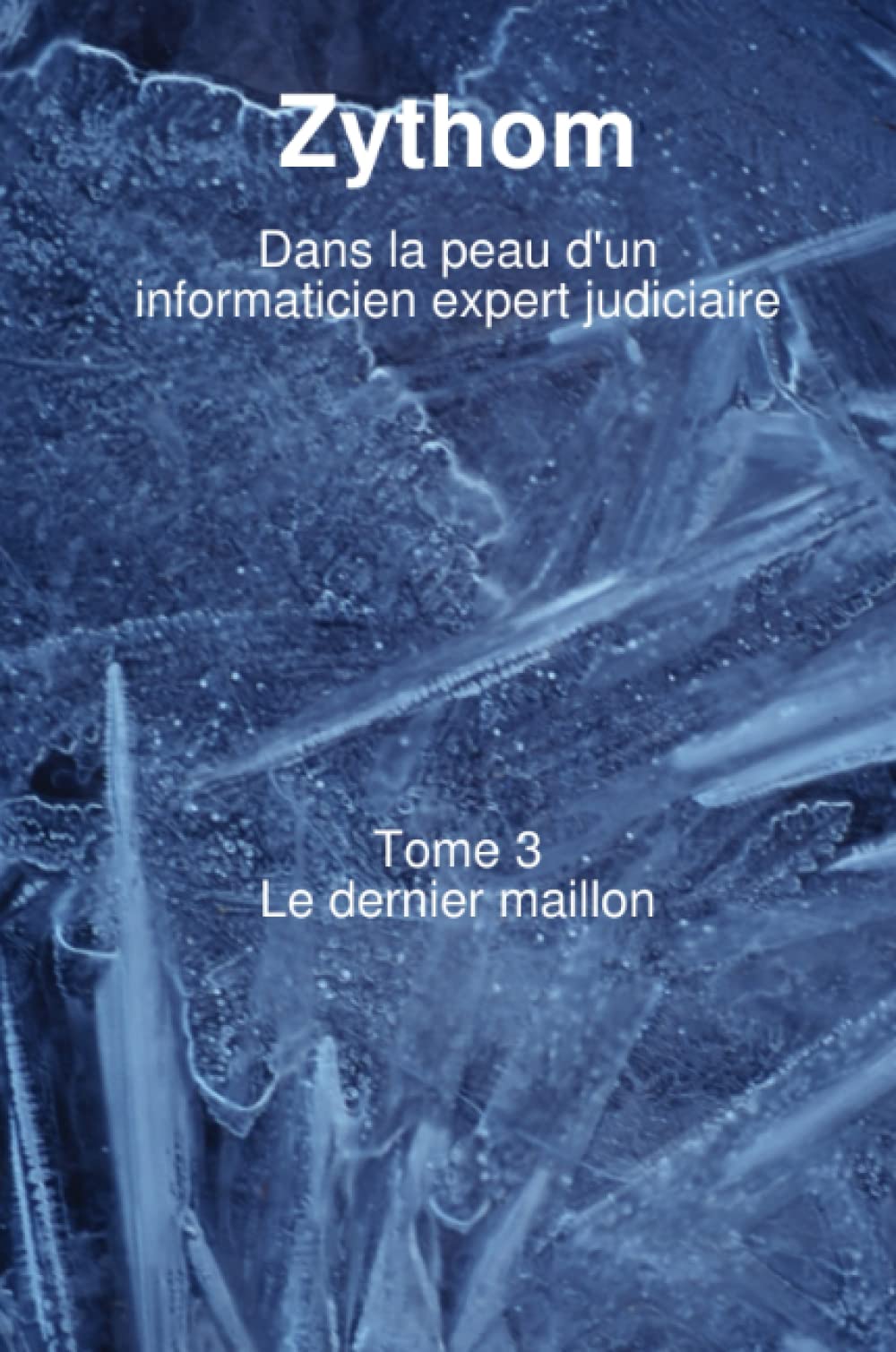 Dans la peau d'un informaticien expert judiciaire T3 book
