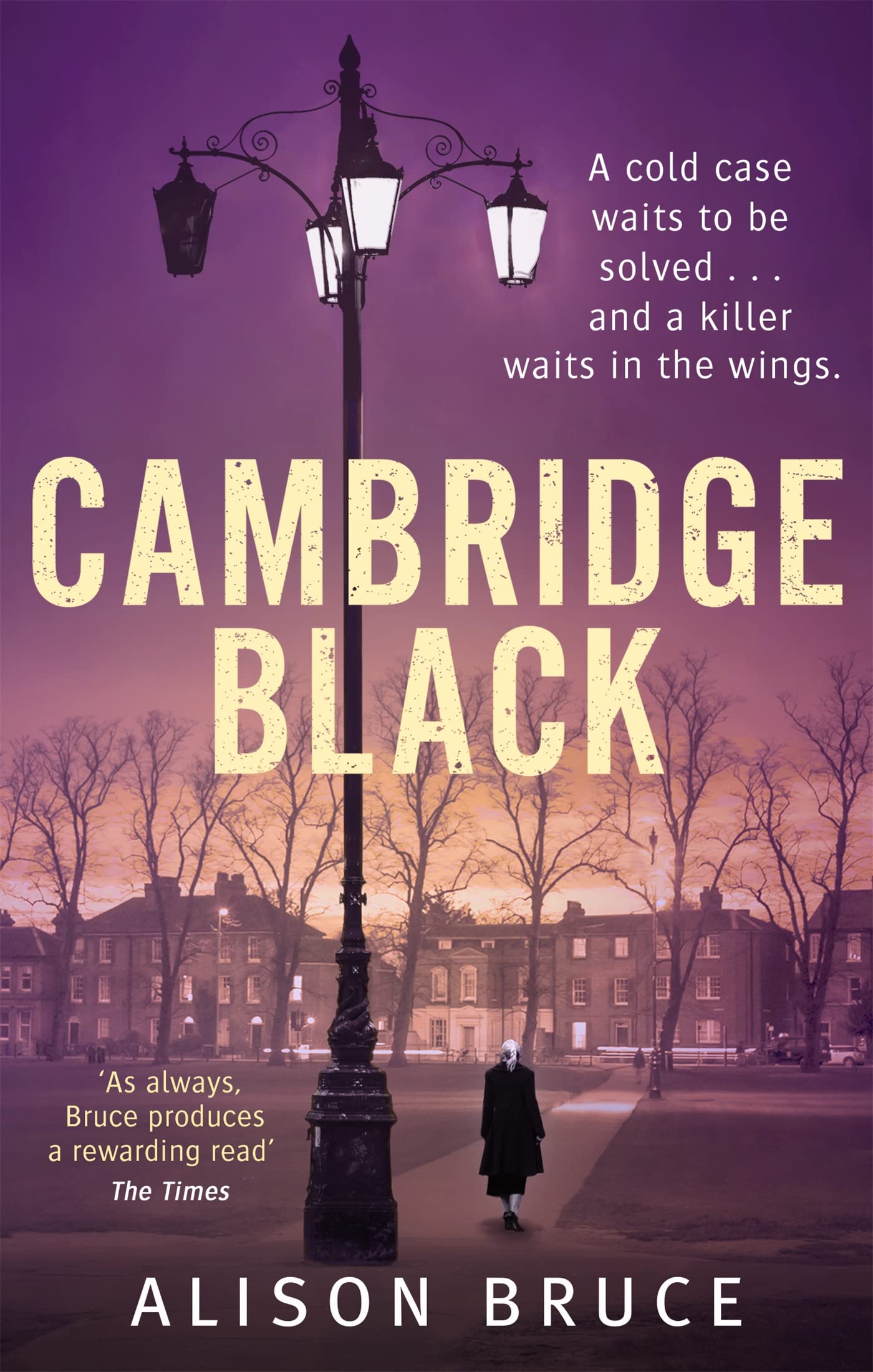Cambridge Black: Alison Bruce (DC Gary Goodhew novels) Contemporary literature