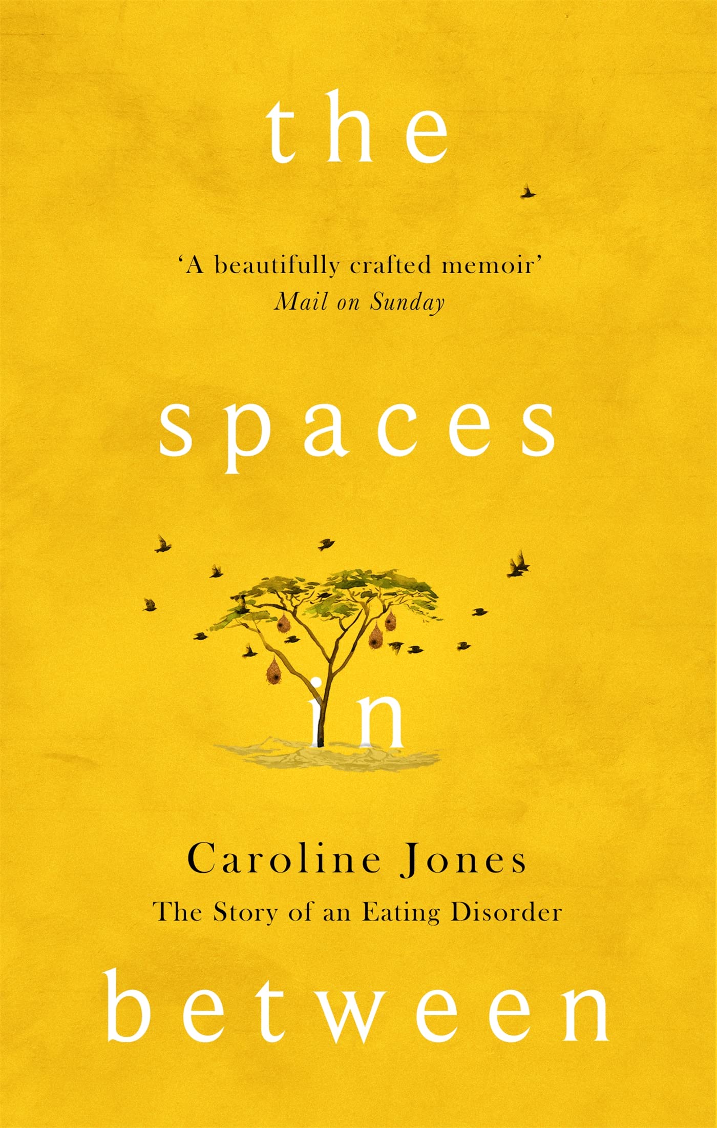 The Spaces In Between: The Story of an Eating Disorder book