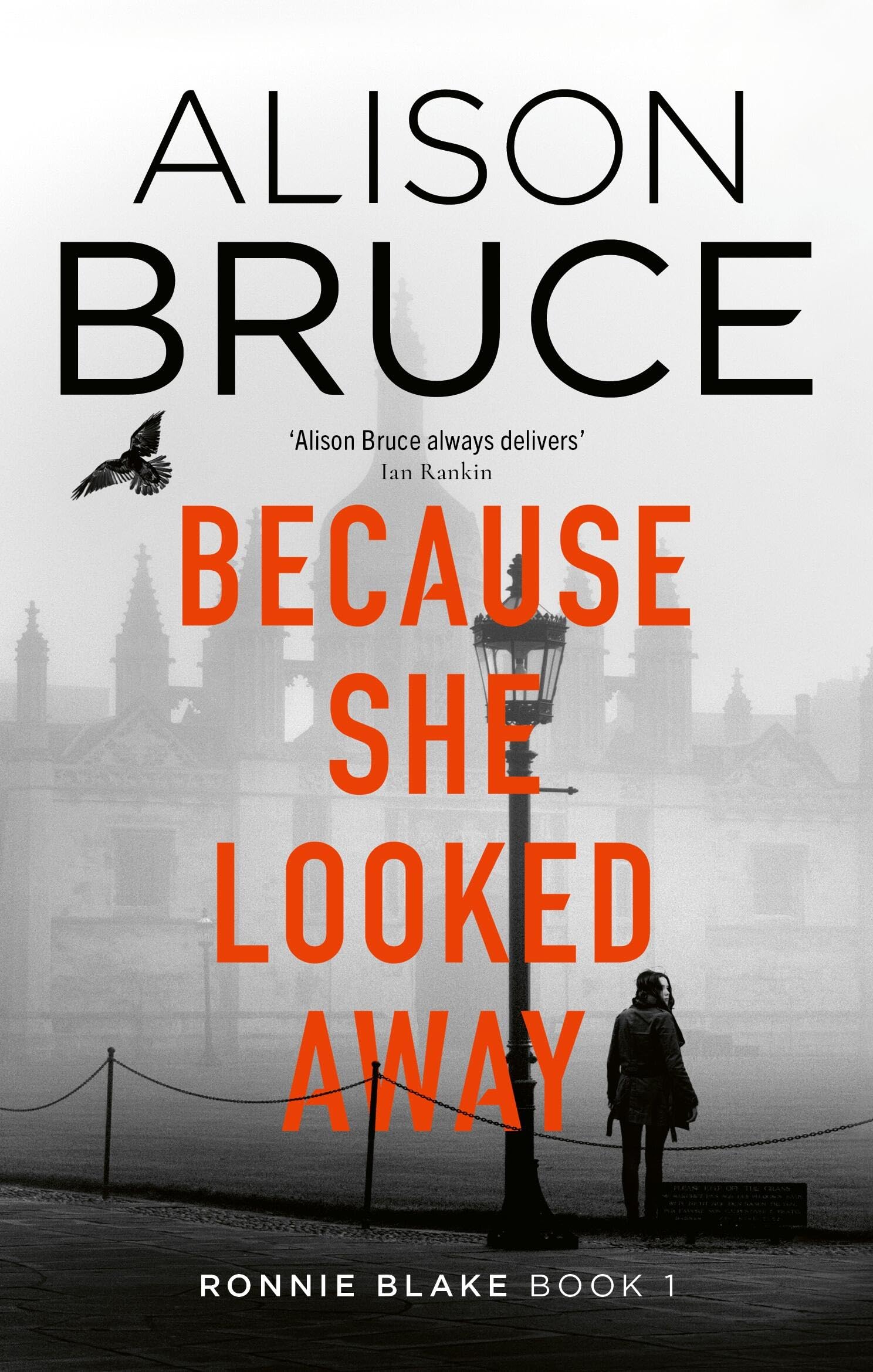 Because She Looked Away Contemporary literature Books